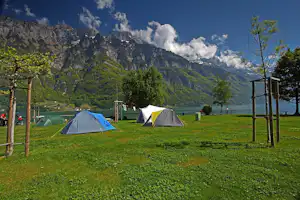 Zelte auf einer grünen Campingwiese am See mit Blick auf die Alpen und hohe Berge im Hintergrund.