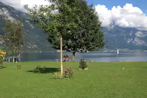 Grüner Campingplatz am See mit Baum, Blumenbeeten und Blick auf Berge, im Hintergrund liegen Boote auf dem Wasser.