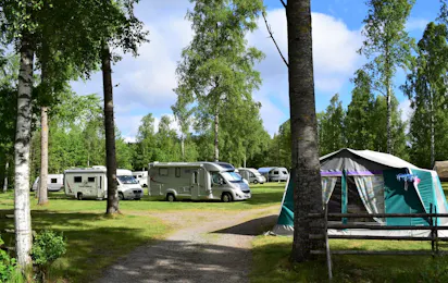 Mycklaflons Camping