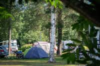 Camping Nallikari  - Zeltwiese im Schatten der Bäume