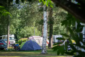 Camping Nallikari - Zeltwiese im Schatten der Bäume