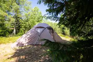 Ein Zelt auf einem Campingplatz im Wald, umgeben von Bäumen und Gras am Boden.