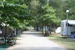 Campingplatz-Allee mit Wohnwagen und Zelten, Fahrrädern am Wegesrand und Bäumen entlang des Schotterwegs.