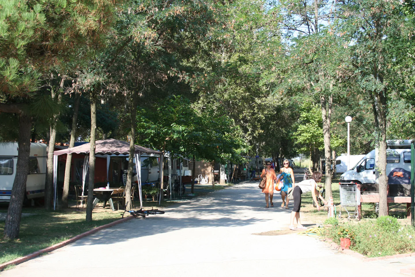 Camping Natura