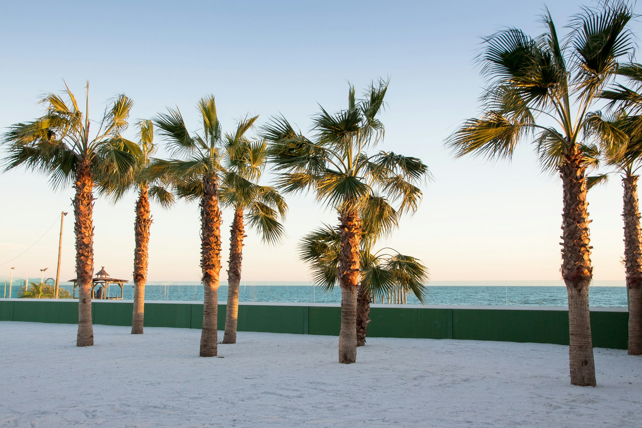 FKK Camping & Bungalows Naturist Almanat - Palmen am Strand des Campingplatzes