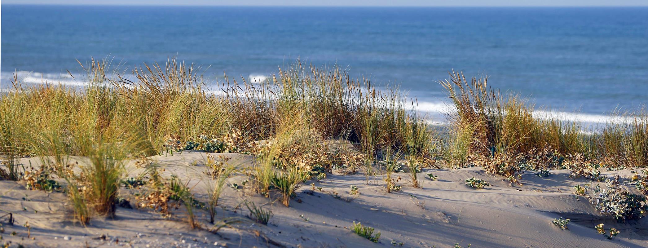 Camping Naturiste CHM Montalivet