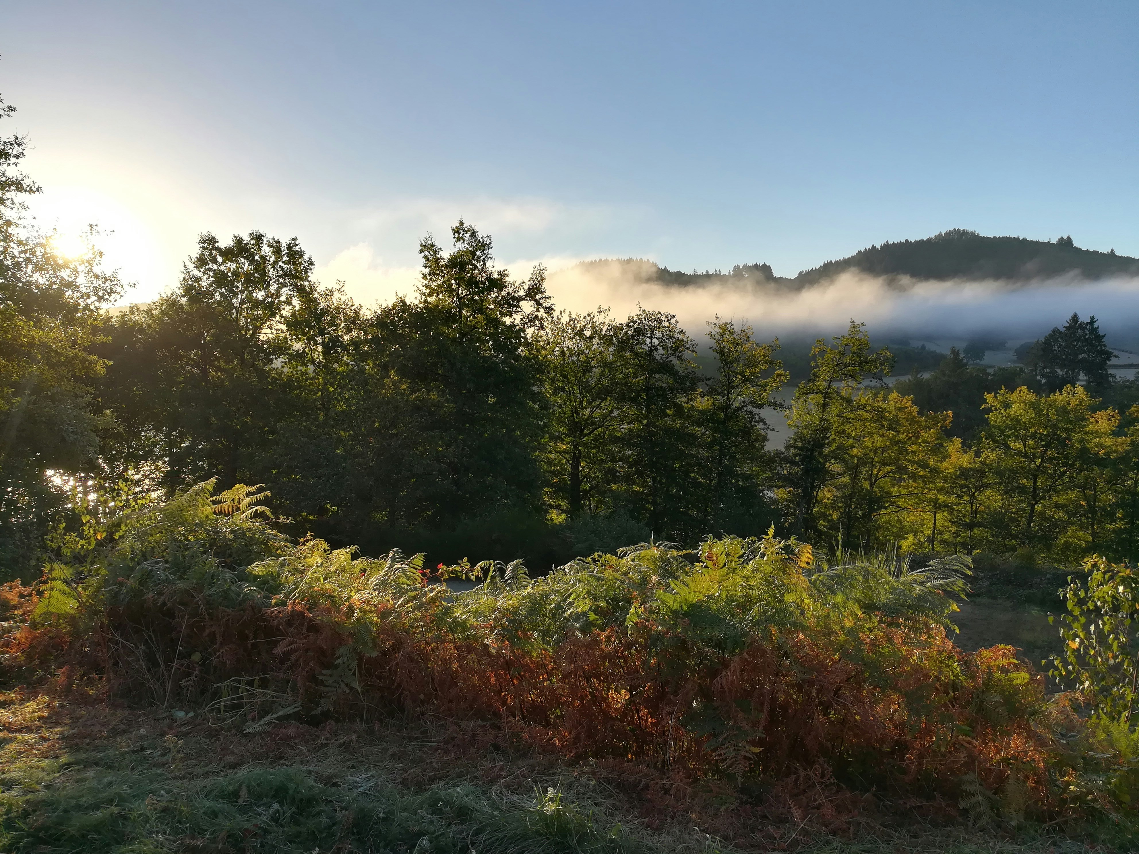 Camping Naturiste Lous Suais