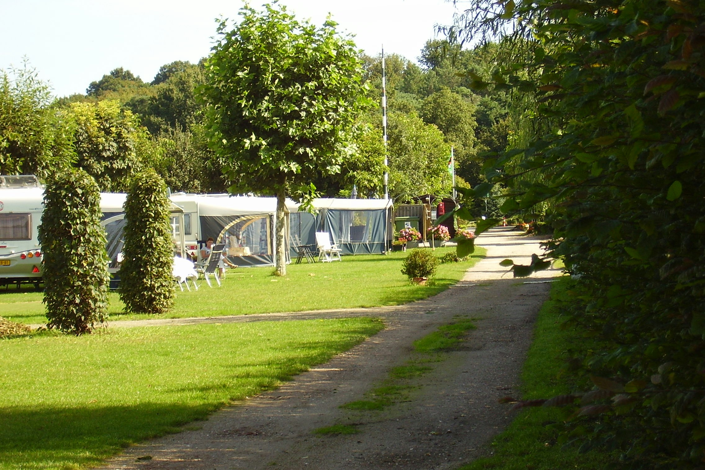 Camping Natuurplezier - Standplatzwiese auf dem Campingplatz
