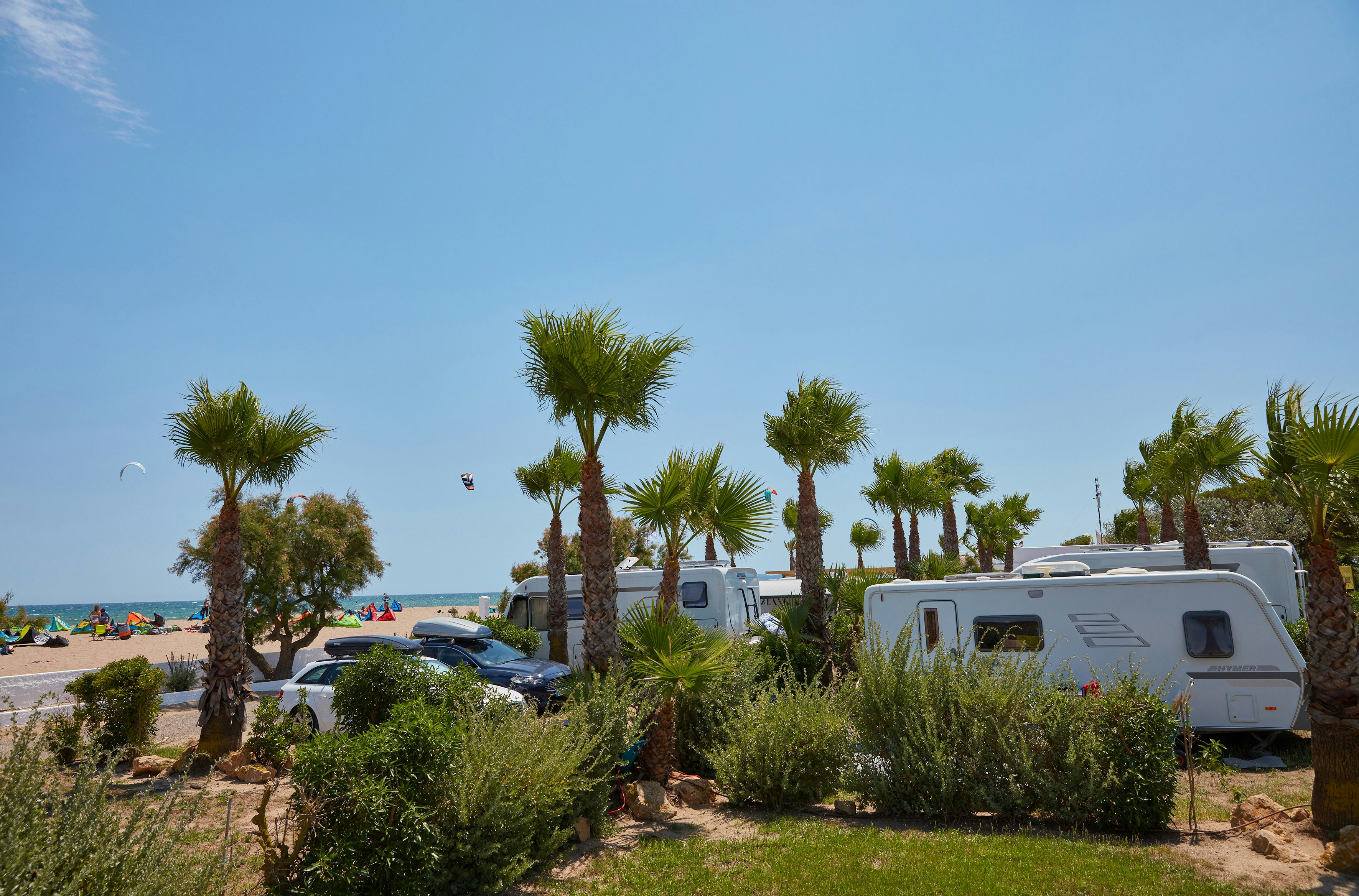 Wohnmobile auf einem Campingplatz mit Palmen, Hecken und Rasenfläche, im Hintergrund ein Strand und das Meer.