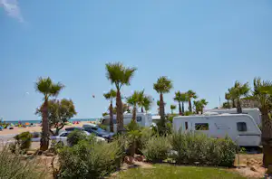 Wohnmobile auf einem Campingplatz mit Palmen, Hecken und Rasenfläche, im Hintergrund ein Strand und das Meer.