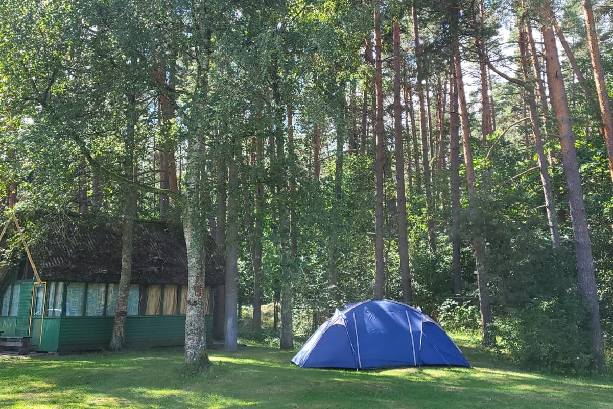 Camping Vaivari Jūrmala - Standplätze zwischen den Bäumen auf dem Campingplatz