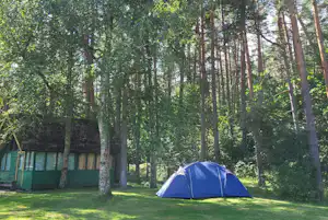 Camping Vaivari Jūrmala - Standplätze zwischen den Bäumen auf dem Campingplatz