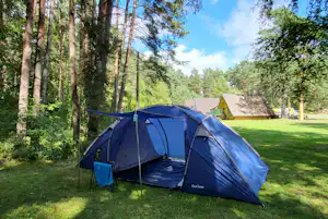 Blaues Campingzelt auf einer grünen Wiese im Wald, mit weiteren Zelten und einem Weg zwischen den Bäumen.