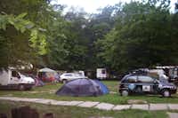 Camping Neptun H&B  - Zeltwiese
