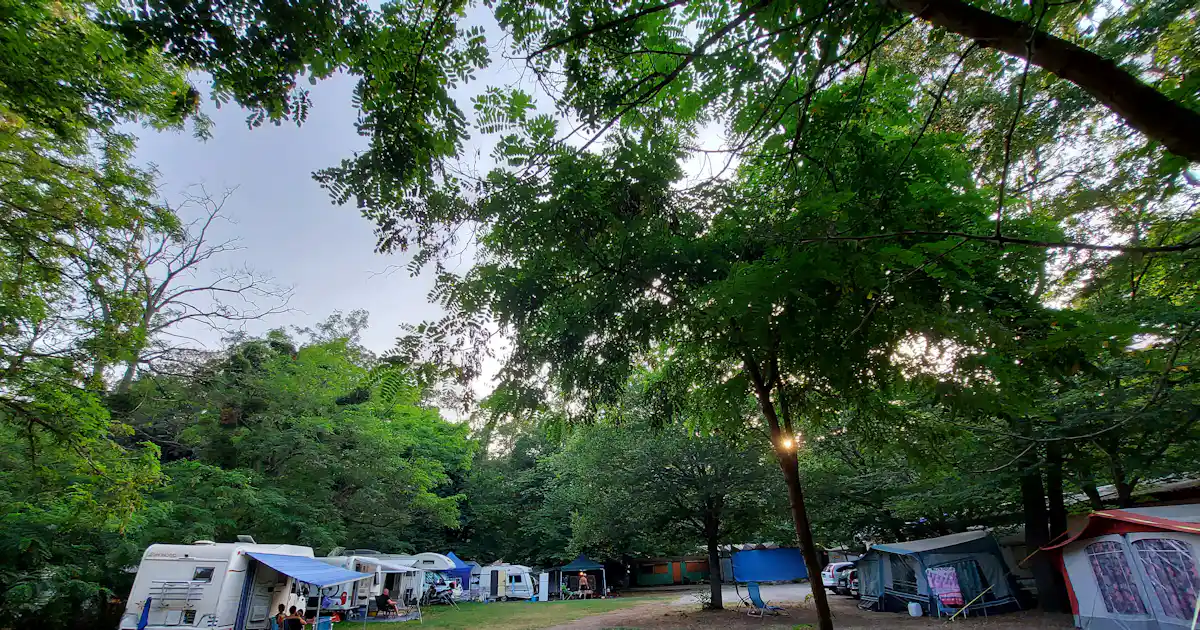 Camping Neptune H&B photo 5