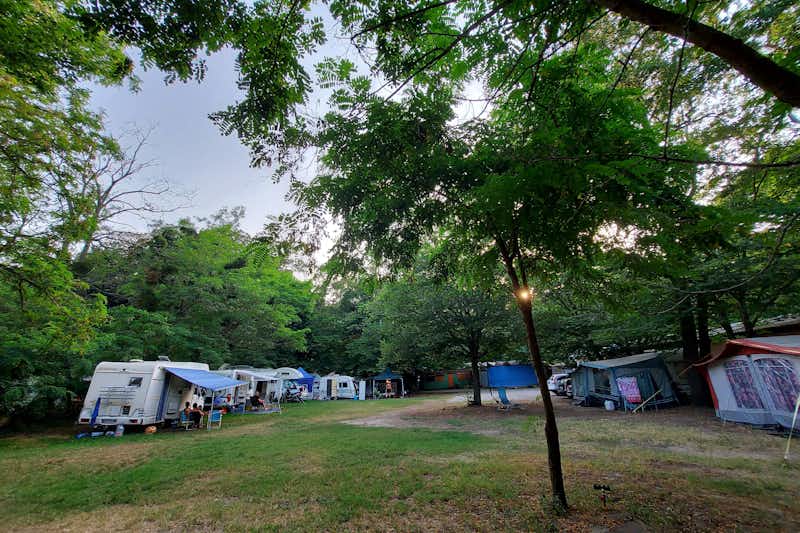 Camping Neptun H&B - Wohnmobil- und  Wohnwagenstellplätze auf der Wiese