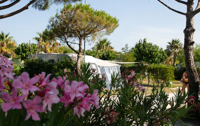 Camping Neptune