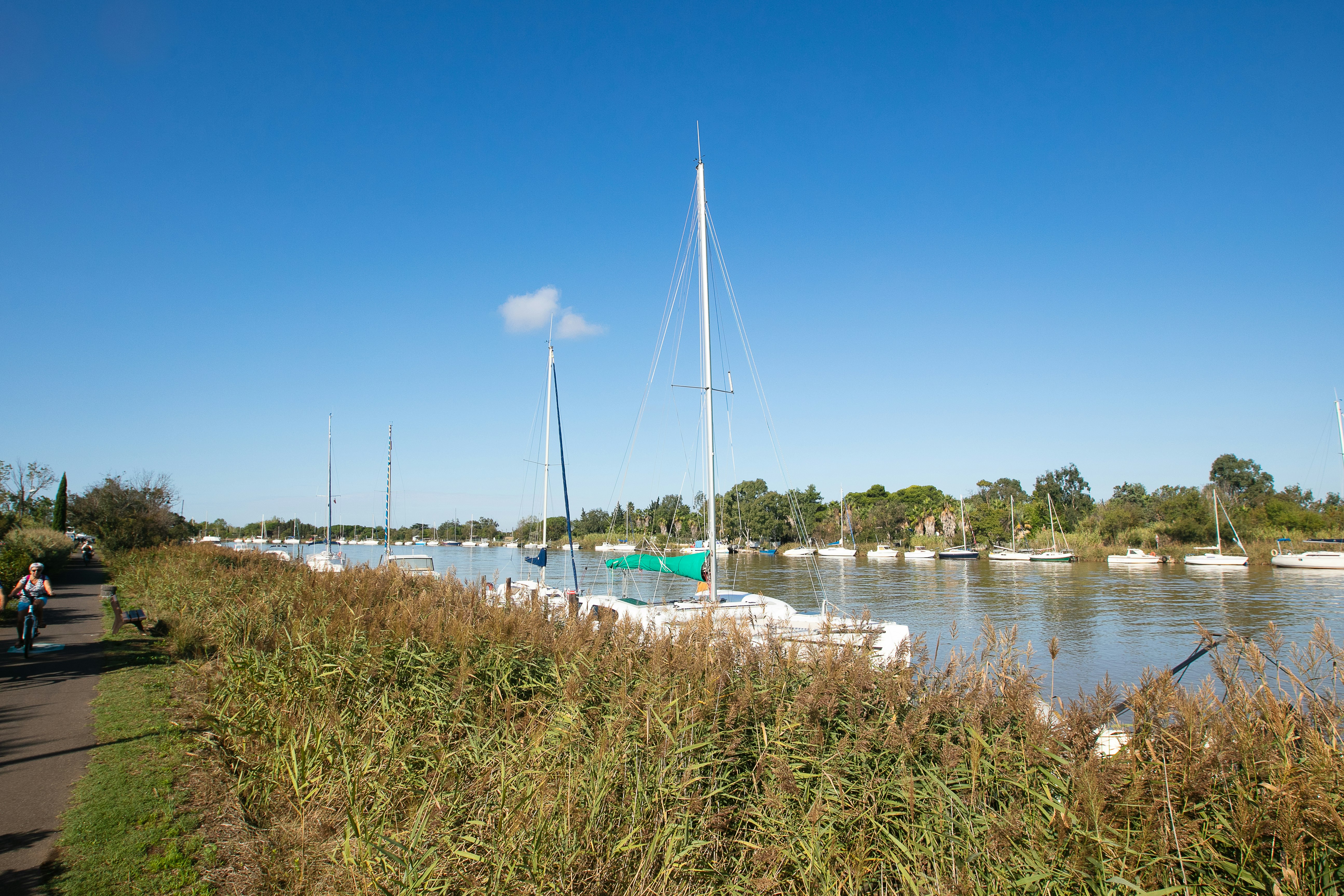 Camping Neptune - Bootshafen in der Umgebung des Campingplatzes