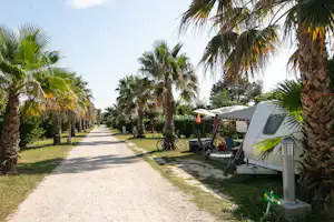 Camping Neptune - Standplätze auf dem Campingplatz