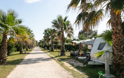 Camping Neptune