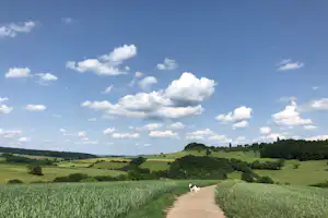 Camping Neumuhle - Fussgängerweg im Grünen auf dem Campingplatz