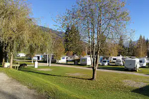 Camping Neunbrunnen am Waldsee - Der Wohnwagen- und Zeltstellplatz