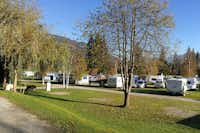 Camping Neunbrunnen am Waldsee - Der Wohnwagen- und Zeltstellplatz