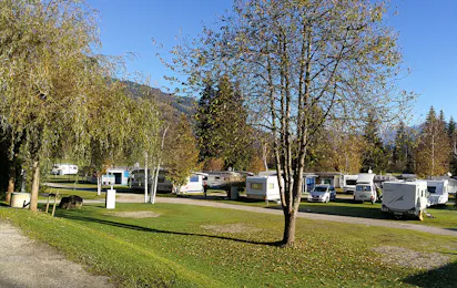 Camping Bad Neunbrunnen am Waldsee