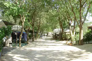 Camping New Triton - Wohnwagenstellplätze im Grünen auf dem Campingplatz