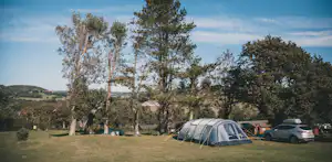 Camping Newlands - Zeltwiese