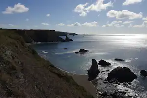 Camping Newtown Cove - Umgebung des Campingplatzes