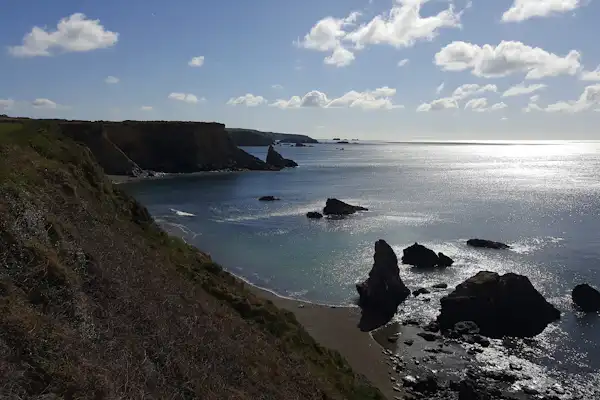 Newtown Cove Caravan Park