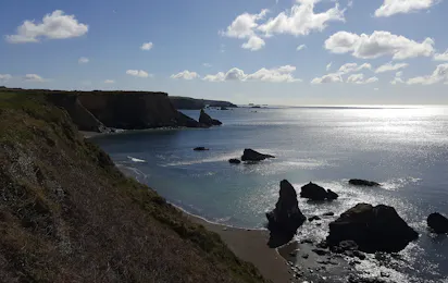 Newtown Cove Caravan Park