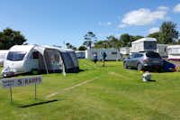 Camping Newtown Cove Wohnwagen- und Zeltstellplatz auf grüner Wiese auf dem Campingplatz