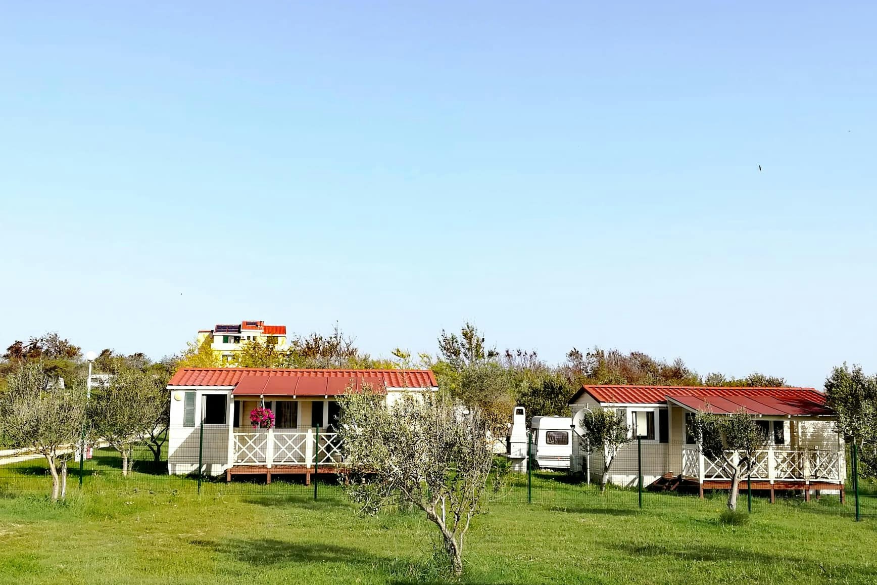 Camping Nin
