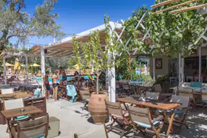 Camping-Terrasse mit Holztischen und Stühlen, Weinreben und Olivenbaum vor einem Gebäude mit Sonnensegeln.