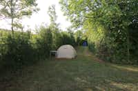 Camping Noordernieuwland - Zeltstellplätze im Grünen auf dem Campingplatz -
