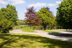 Camping Nore Valley Park - Wohnwagen- und Zeltstellplatz zwischen Bäumen auf dem Campingplatz