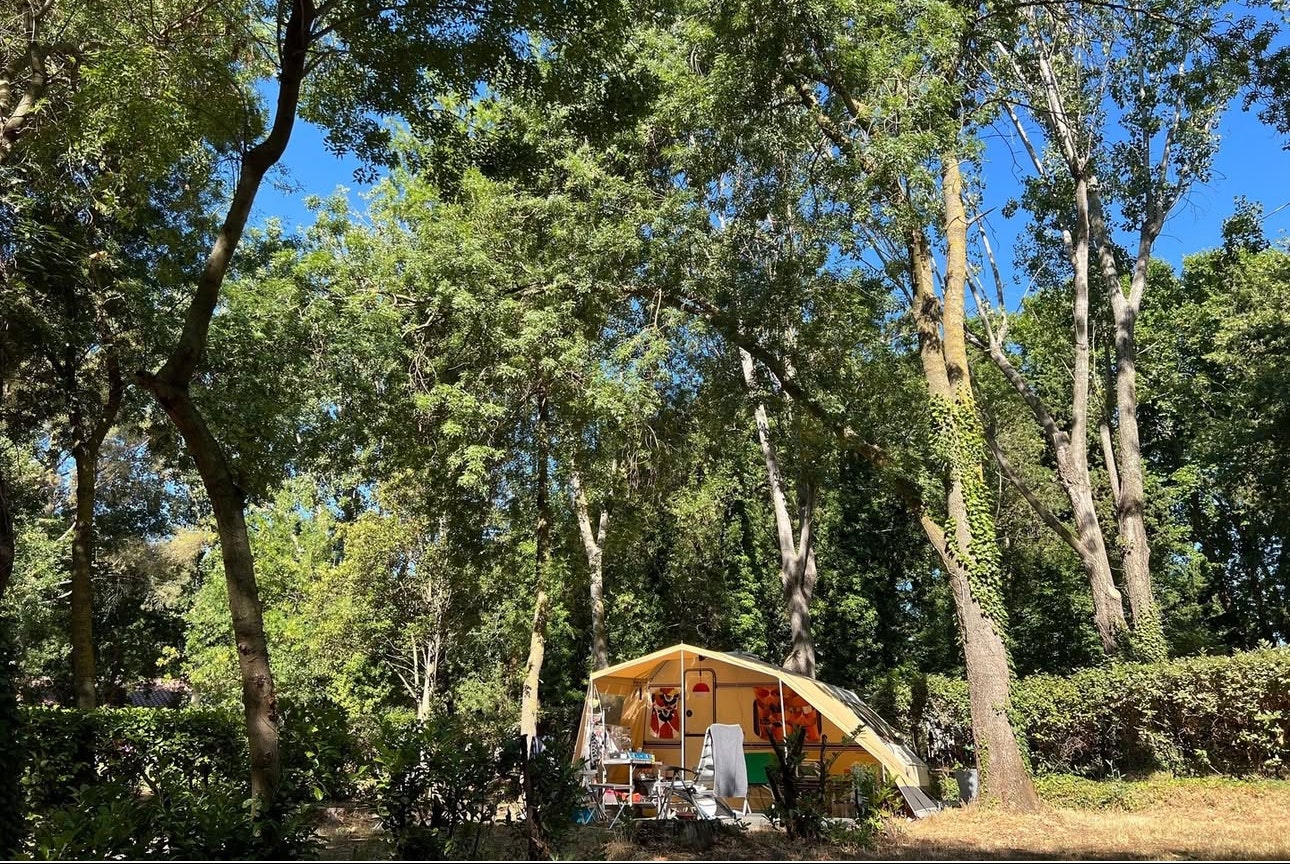 Camping Nostradamus - Standplätze auf dem Campingplatz