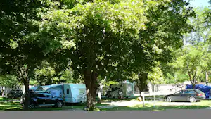 Campingplatz mit geparkten Autos und einem Wohnmobil unter großen Bäumen, daneben weitere Fahrzeuge und ein Weg.