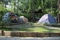 Camping Nr. 159 - Zelte im Grünen