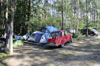 Camping Nr. 159 - Zeltplatz im Wald