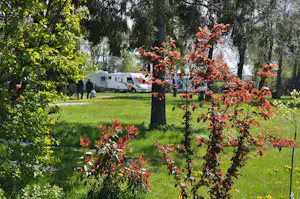 Camping Nr. 61 - Wohnwagen- und Zeltstellplatz im Grünen