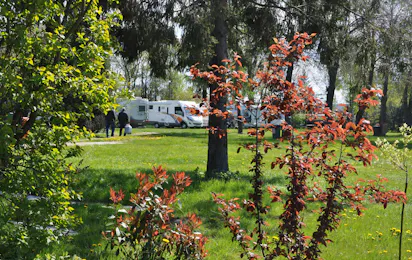 Camping Nr. 61