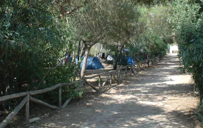 Camping Nurapolis