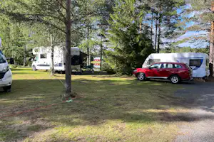 Camping Nya Skogsgården - Standplätze auf dem Campingplatz - Standplätze auf dem Campingplatz