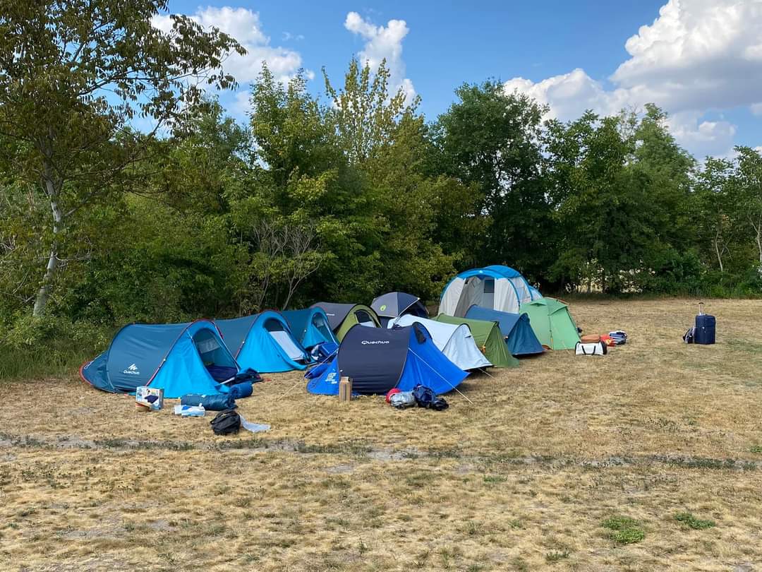 Mehrere Campingzelte auf einer trockenen Wiese, umgeben von Bäumen, mit Campingstühlen und Taschen am Boden.