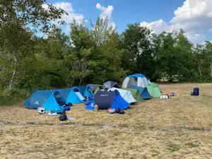Mehrere Campingzelte auf einer trockenen Wiese, umgeben von Bäumen, mit Campingstühlen und Taschen am Boden.
