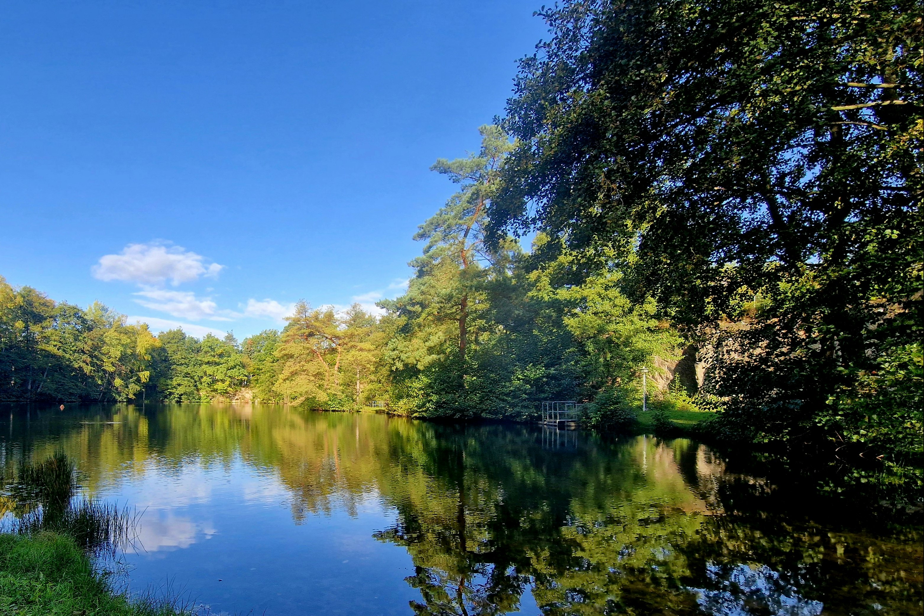 Camping-Oase Steinbruchsee Süplingen - Blick auf den See umgeben von Bäumen