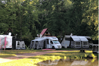 Camping-Oase Steinbruchsee Süplingen - Stellplätze im Schatten der Bäume